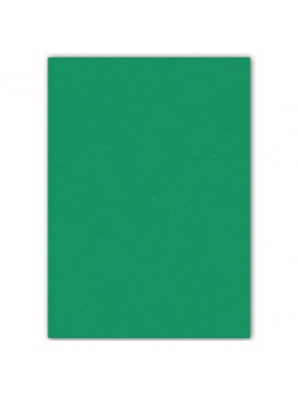 ΧΑΡΤΟΝΙ ΧΕΙΡΟΤΕΧΝΙΑΣ 50Χ70CM, ΧΡΩΜΑ GREEN EVERBAL PAPERS