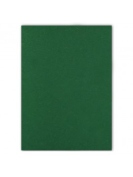 ΧΑΡΤΟΝΙ ΧΕΙΡΟΤΕΧΝΙΑΣ 50Χ70CM, ΧΡΩΜΑ SAP GREEN EVERBAL PAPERS