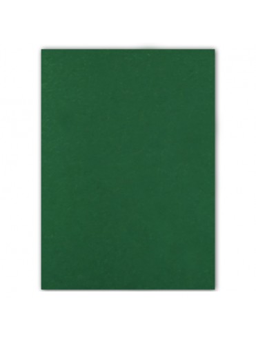 ΧΑΡΤΟΝΙ ΧΕΙΡΟΤΕΧΝΙΑΣ 50Χ70CM, ΧΡΩΜΑ SAP GREEN EVERBAL PAPERS