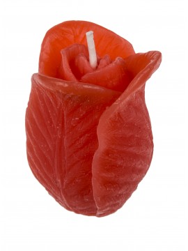 ΚΕΡΙ ΔΙΑΚΟΣΜΗΤΙΚΟ ΣΧΕΔΙΟ ΛΟΥΛΟΥΔΙ (6 X 4CM), 3 ΑΣΟΡΤΙ ΧΡΩΜΑΤΑ, ΣΤΑΝΤ 24 ΤΕΜΑΧΙΩΝ BLUE GIFTS