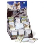 ΧΑΡΤΑΚΙΑ *ΔΙΑΦΟΡΑ ΣΧΕΔΙΑ WILD HORSES ΣΤΑΝΤ 84 ΤΕΜΑΧΙΩΝ INFO NOTES