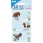 ΕΤΙΚΕΤΕΣ ΣΧΟΛΙΚΕΣ 8Χ12 CM 12 ΤΕΜΑΧΙΑ 170235 GLOBAL GIFT