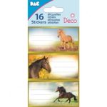 ΕΤΙΚΕΤΕΣ ΣΧΟΛΙΚΕΣ 8Χ12 CM 16 ΤΕΜΑΧΙΑ 170245* GLOBAL GIFT