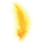 ΠΟΥΠΟΥΛΑ  ΧΡΩΜΑ GOLD YELLOW 15 ΤΕΜΑΧΙΩΝ GLOREX