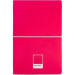 ΣΗΜΕΙΩΜΑΤΑΡΙΟ 13Χ20 ΜΕ ΛΑΣΤΙΧΟ, 192ΣΕΛ. ΧΡΩΜΑ RETHINK PINK PANTONE